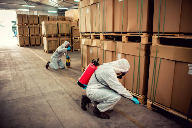 Best Pest Control Treatment  in Stroville, CA
