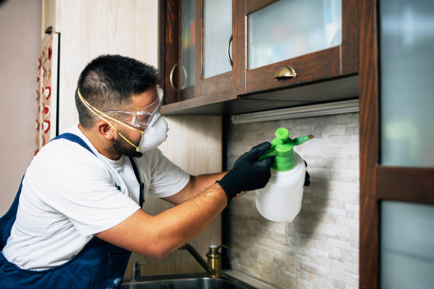 Castroville, CA Pest Control Company