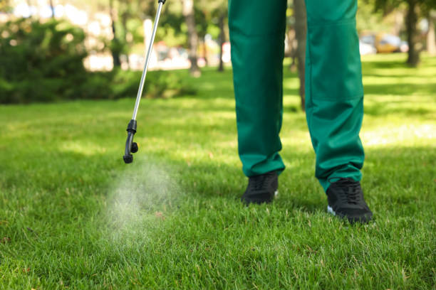 Best Affordable Pest Control Services  in Stroville, CA