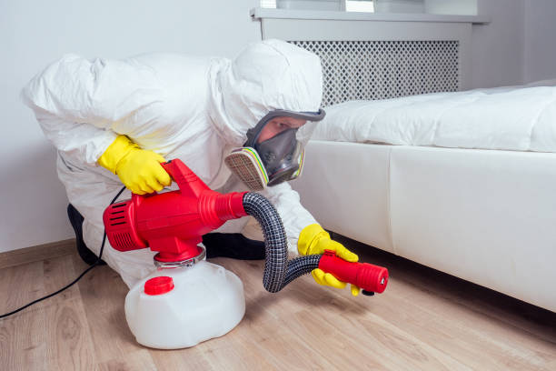 Best Best Pest Control Companies  in Stroville, CA