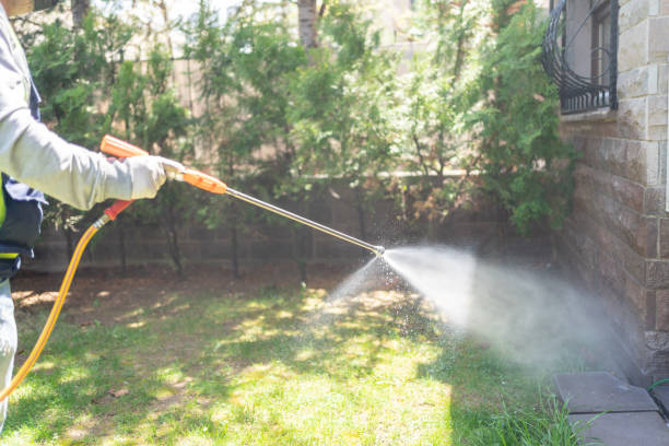 Best Wasp Removal Services  in Stroville, CA