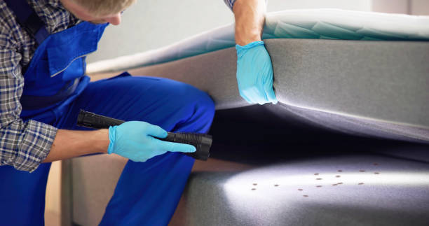 Flea Control Services in Castroville, CA
