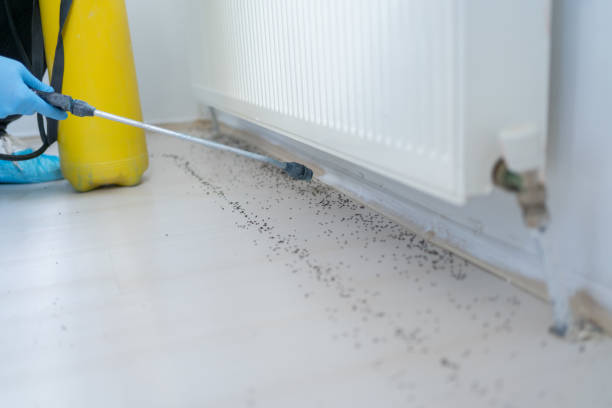 Best Commercial Pest Control Services  in Stroville, CA