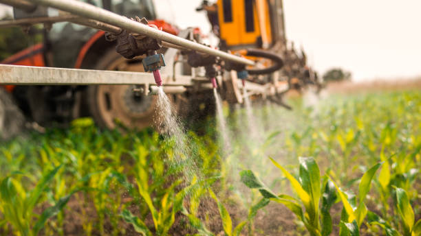 Best Pest Removal Services  in Stroville, CA